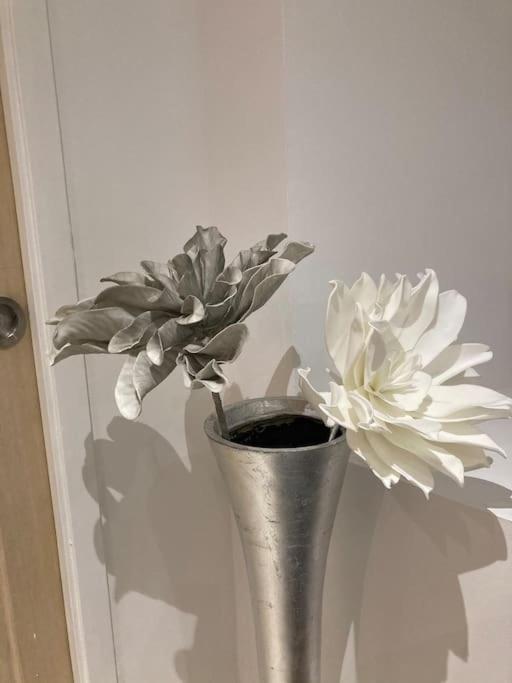 La P'Tite Maison De Locqui ロキレック エクステリア 写真